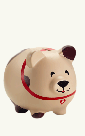 piggy bank with coin animation