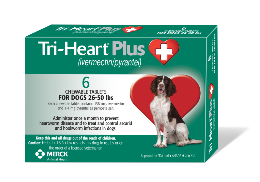 heartworm prevention-medium dogs