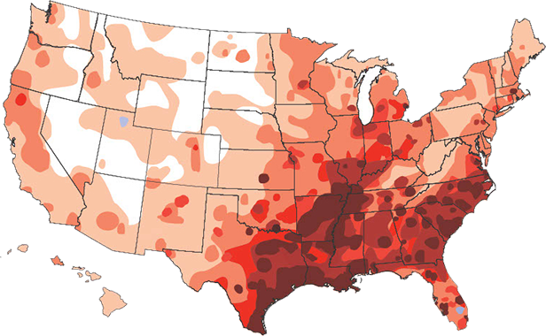 Heartworm Cases in 20224